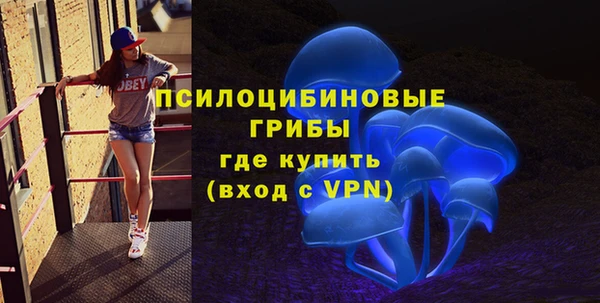МДПВ Ладушкин