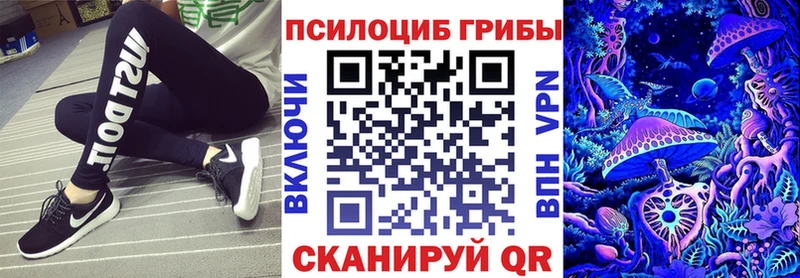 Псилоцибиновые грибы Psilocybine cubensis  даркнет сайт  Заозёрный 