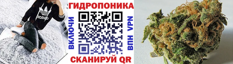 гидра ссылки  Заозёрный  Бошки Шишки семена 